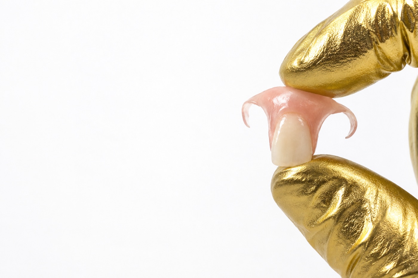 Small flexible flipper with one front tooth held between gloved fingers
