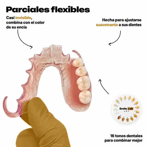 Dentadura parcial flexible para reemplazar de 6 a 8 dientes