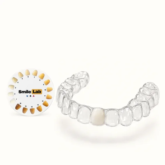 Clear and pontic dental aligners 